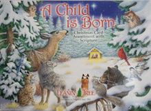 Load image into Gallery viewer, A Child is Born Boxed Christmas Card Assortment with Scripture - Leanin' Tree
