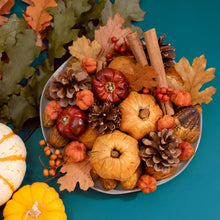 Load image into Gallery viewer, Andaluca Pumpkin Patch Potpourri