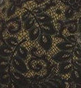 Load image into Gallery viewer, Olive Lace Plus Size Leggings