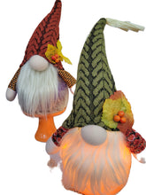 Load image into Gallery viewer, LED Fall Gnome Figurine
