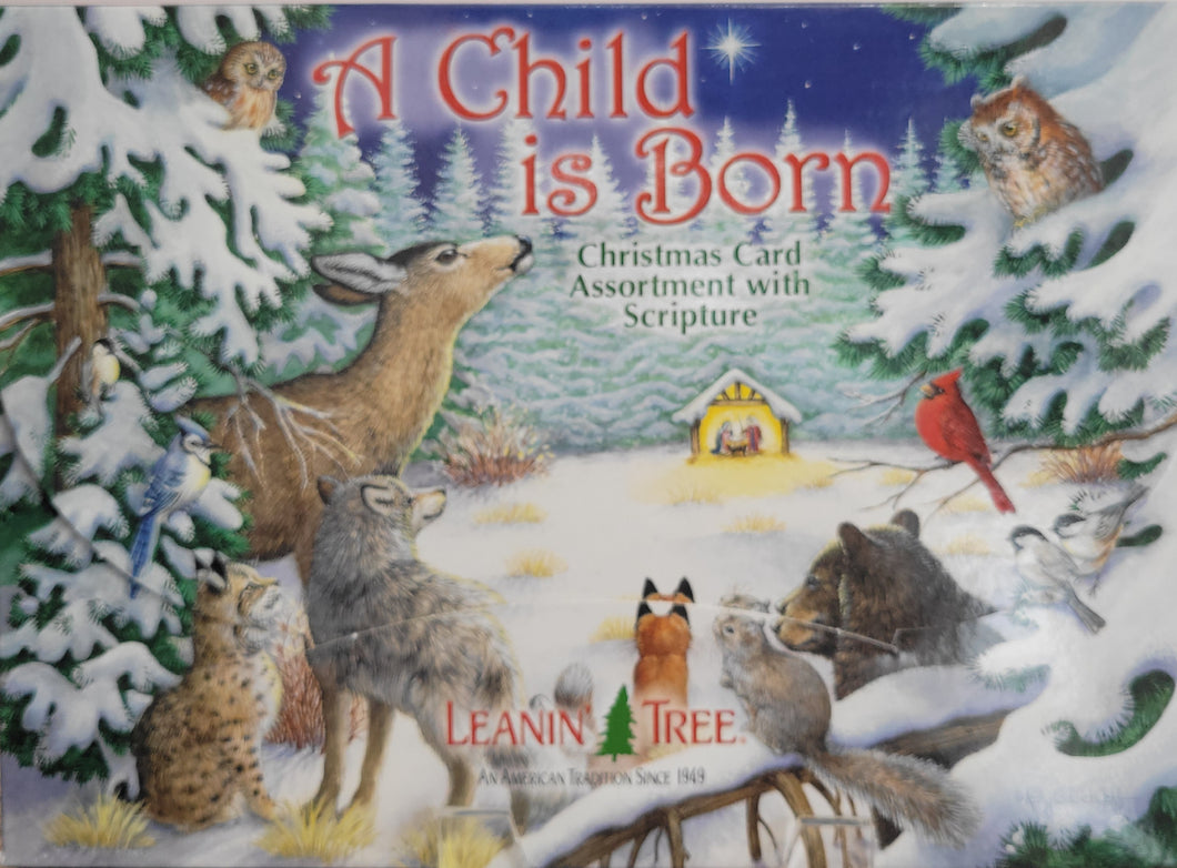 A Child is Born Boxed Christmas Card Assortment with Scripture - Leanin' Tree