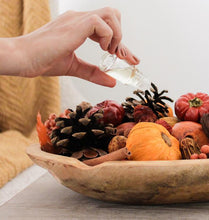 Load image into Gallery viewer, Andaluca Pumpkin Patch Potpourri
