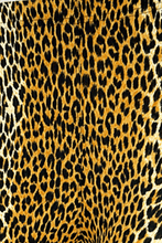Load image into Gallery viewer, Roar -  Kids Cheetah Print Leggings
