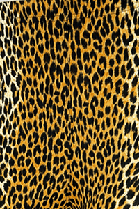 Roar -  Kids Cheetah Print Leggings