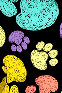 Colorful Paws Plus Size Leggings