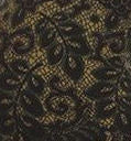 Load image into Gallery viewer, Olive Lace Plus Size Leggings
